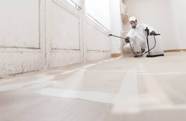 24/7 Emergency Attic Mold Remediation experts in Newton Lower Falls, MA